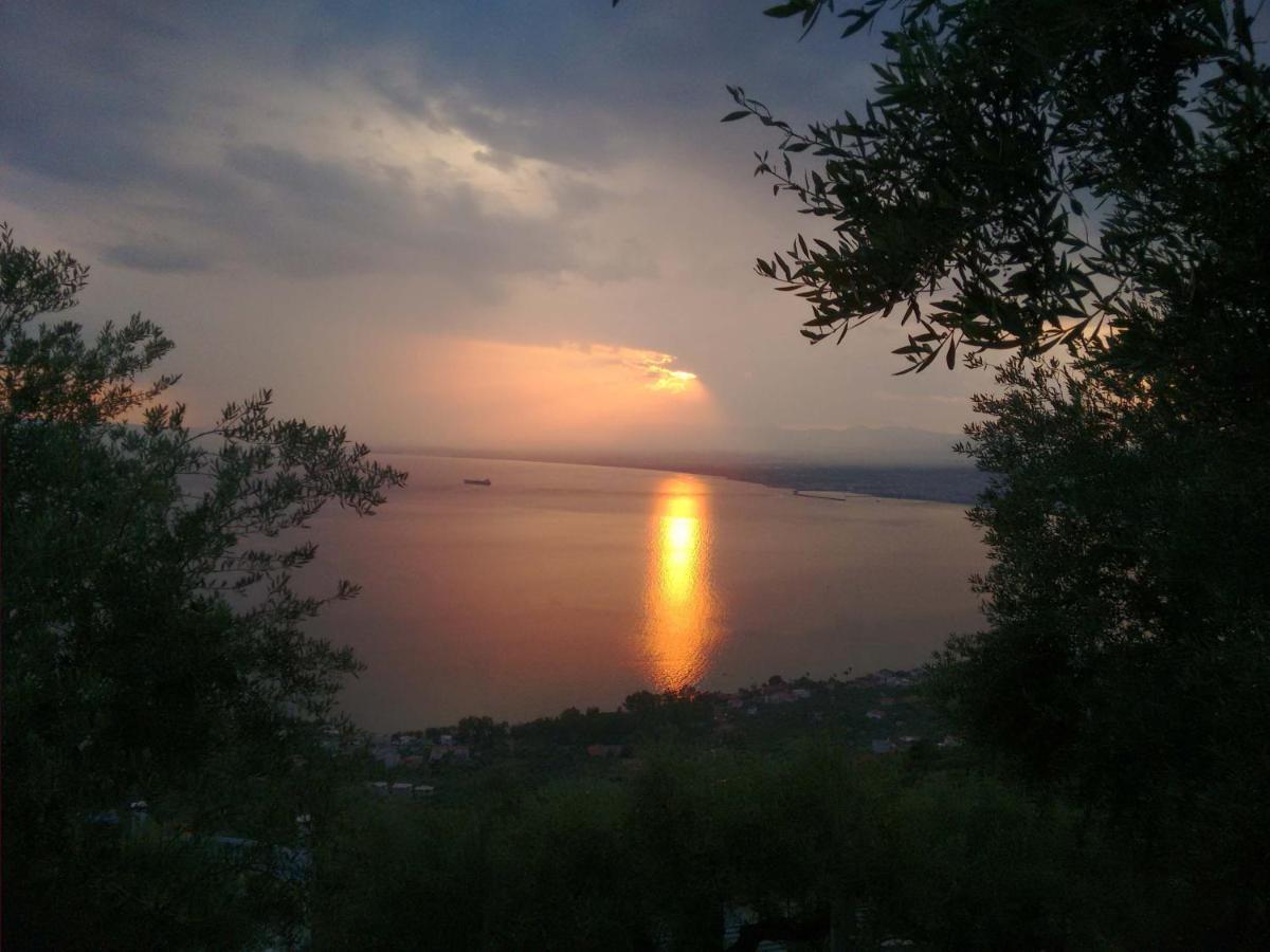 Olive Stonehouses - Alkistis Каламата Екстер'єр фото